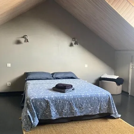 3-bedroom House With Garden, Near Center 度假居 *